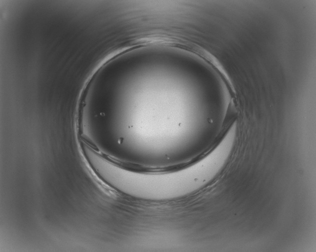 X0000070171195200605261148