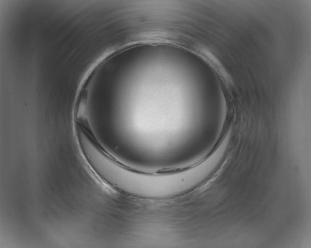 X0000070171196200605261148