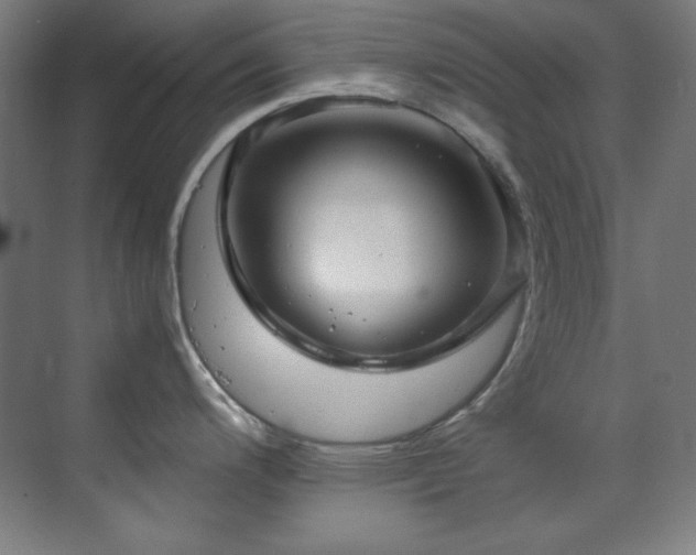 X0000070171200200605261148