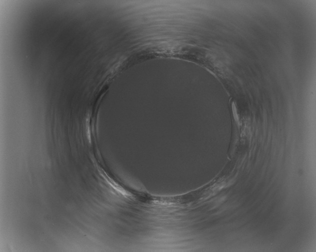 X0000070171202200605261147