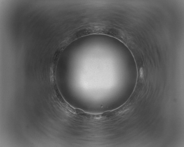 X0000070171203200605261147