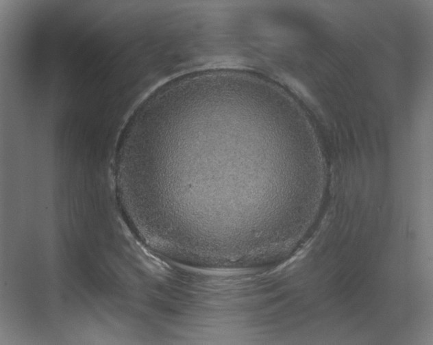 X0000070171212200605261147