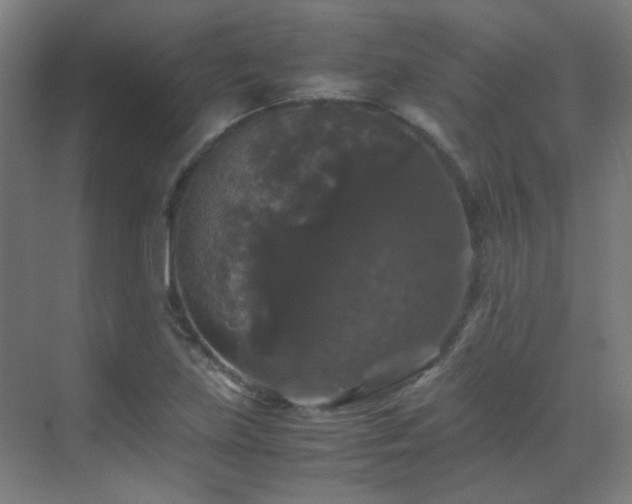 X0000070171219200605261147
