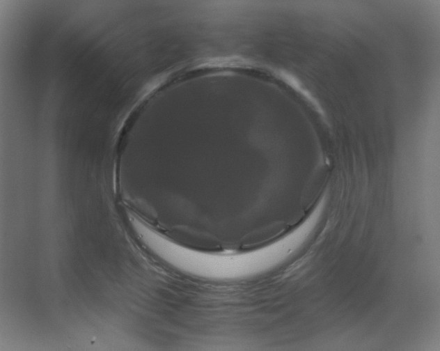 X0000070171221200605261147