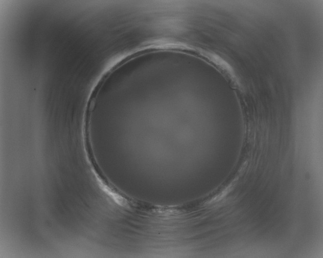 X0000070171231200605261147