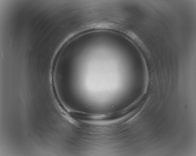 X0000070171232200605261147