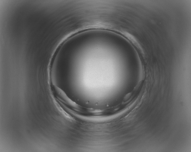 X0000070171238200605261147