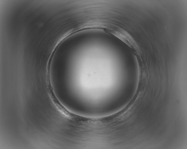 X0000070171242200605261147