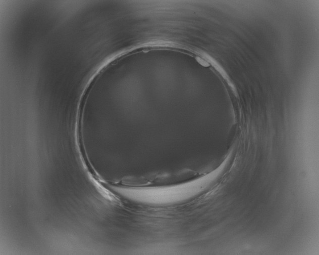 X0000070171245200605261147