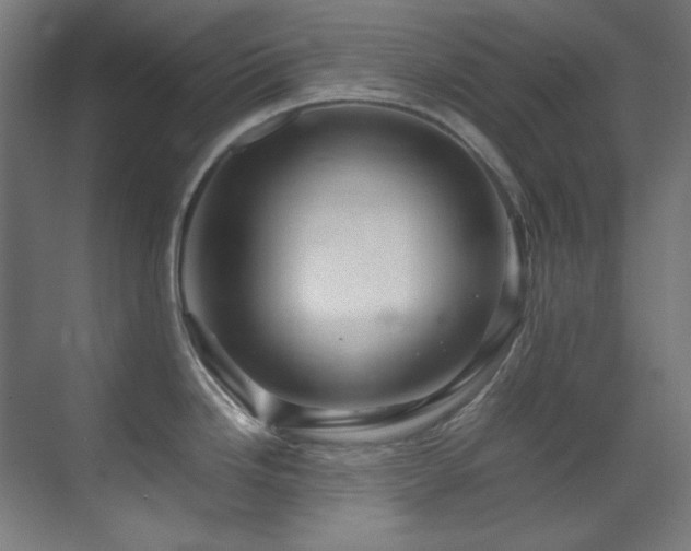 X0000070171246200605261147
