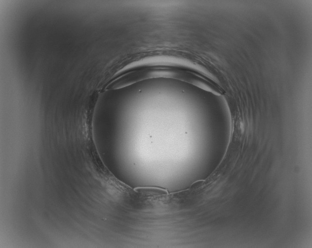 X0000070171252200605261147