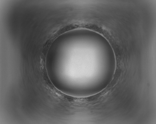 X0000070171253200605261147
