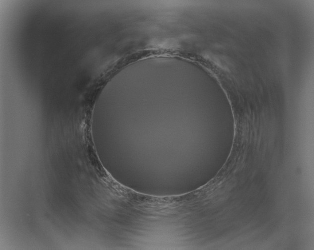 X0000070171254200605261147
