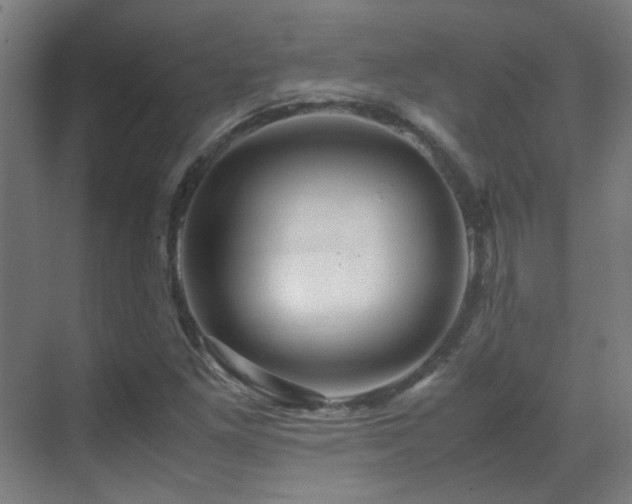 X0000070171261200605261146