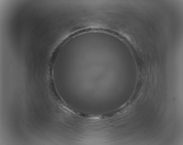 X0000070171263200605261146
