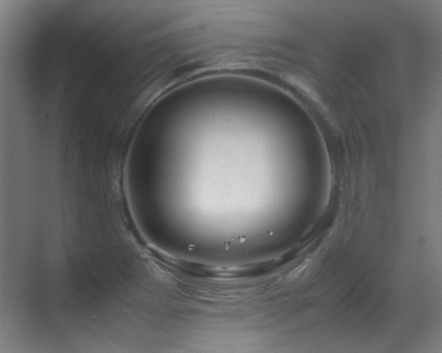 X0000070171273200605261146