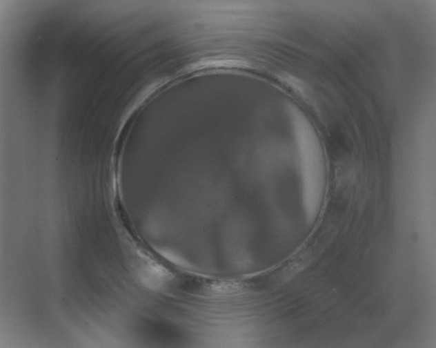 X0000070171274200605261146