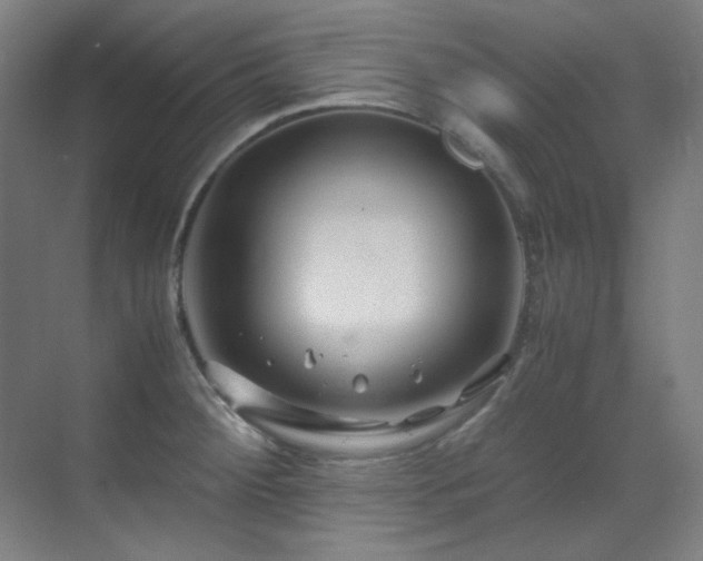 X0000070171284200605261146