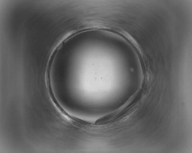 X0000070171293200605261146
