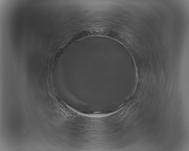 X0000070171297200605261145