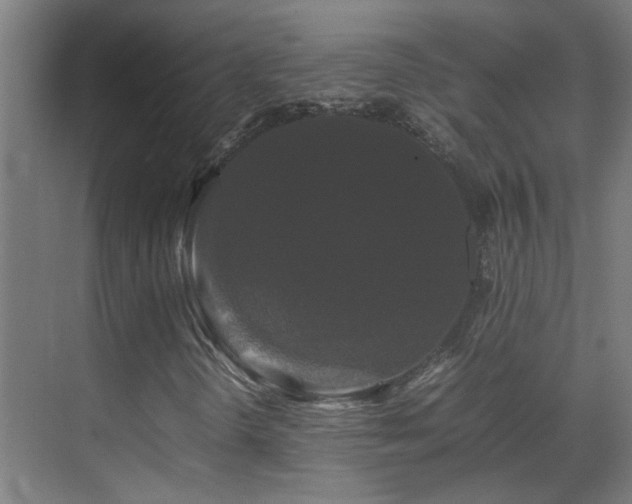 X0000070171298200605261145