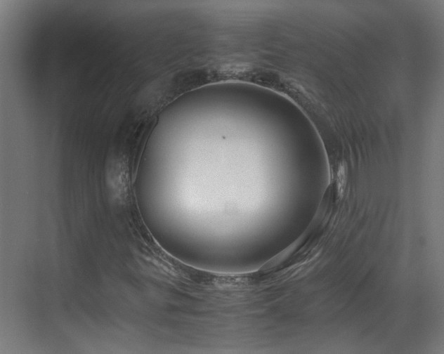 X0000070171299200605261145