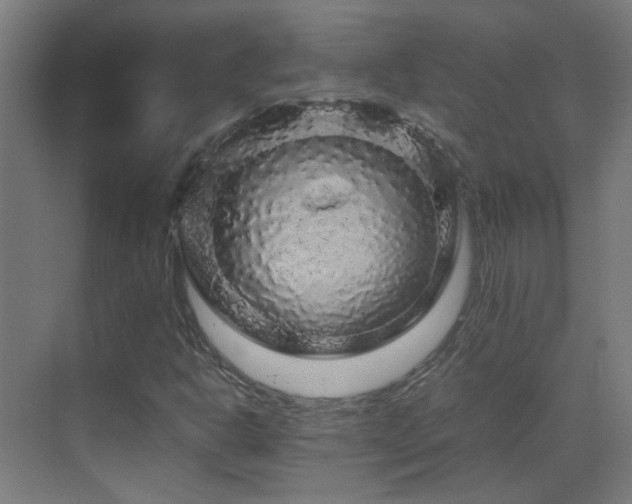 X0000070171302200605261145