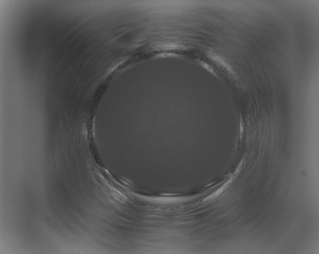 X0000070171305200605261145