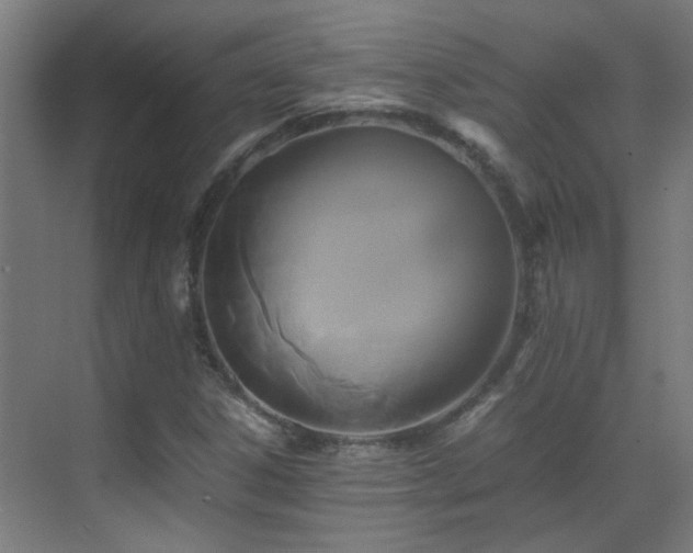 X0000070171306200605261145