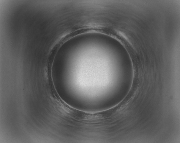 X0000070171307200605261145