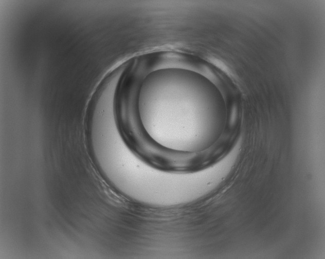 X0000070171308200605261145