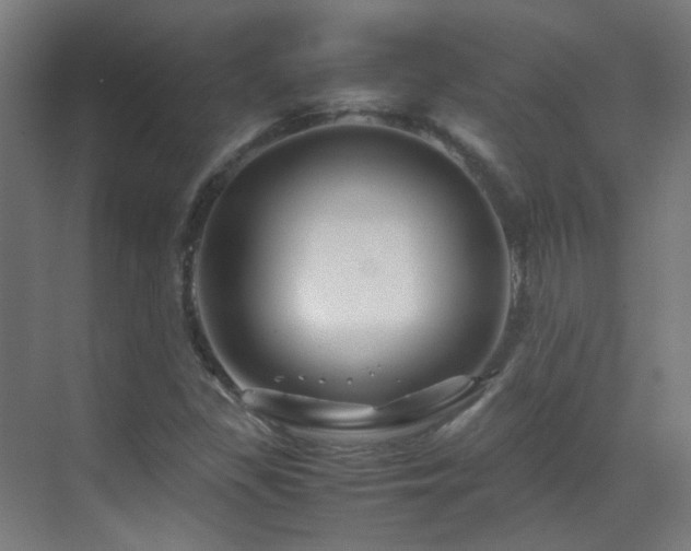 X0000070171309200605261145
