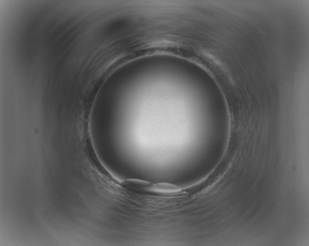 X0000070171313200605261145