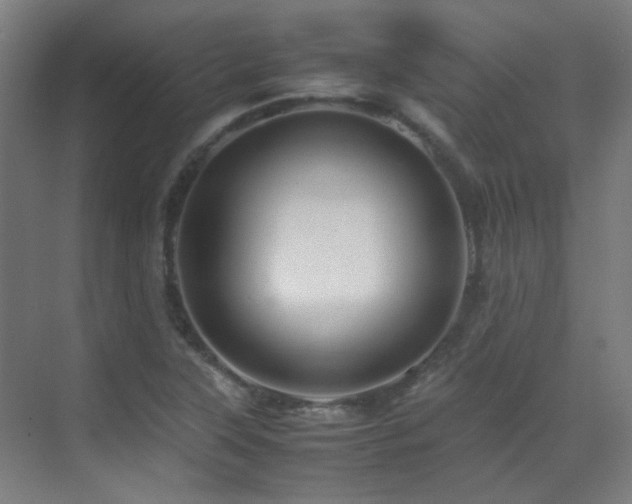X0000070171315200605261145