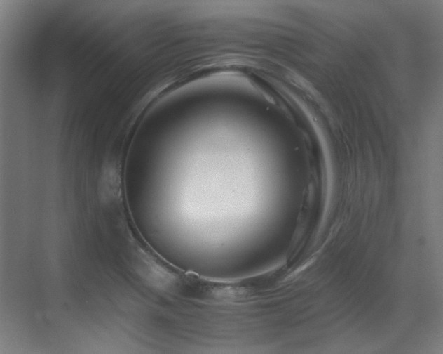 X0000070171321200605261145