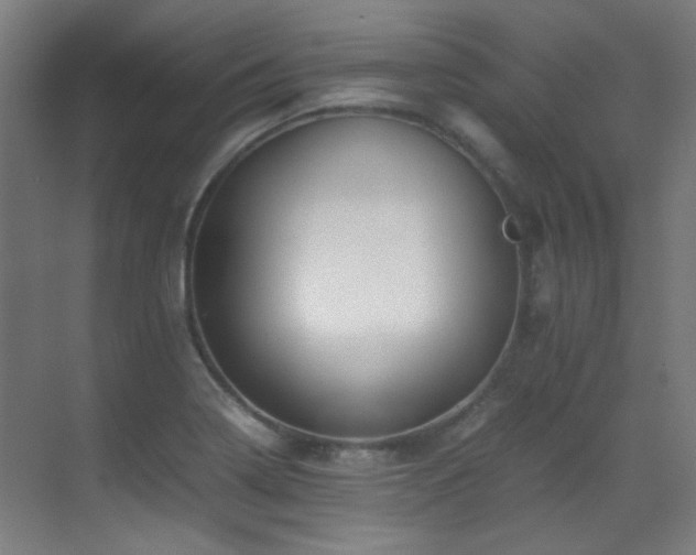 X0000070171322200605261146