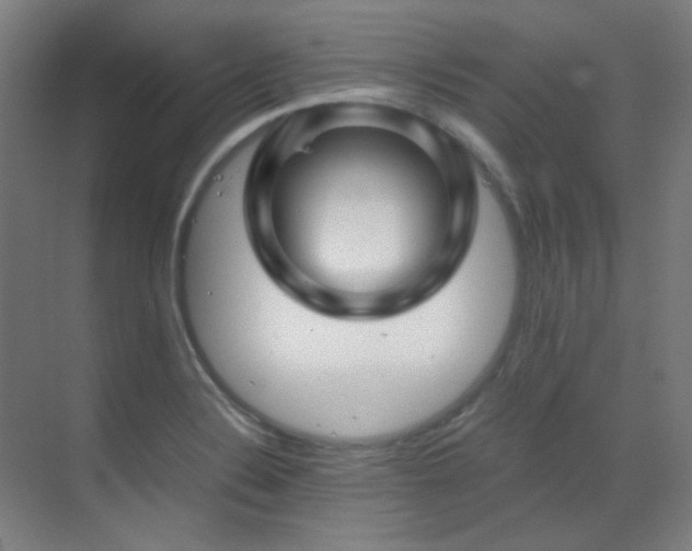 X0000070171324200605261146