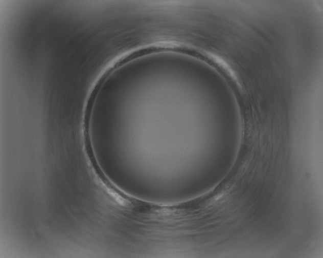 X0000070171327200605261146