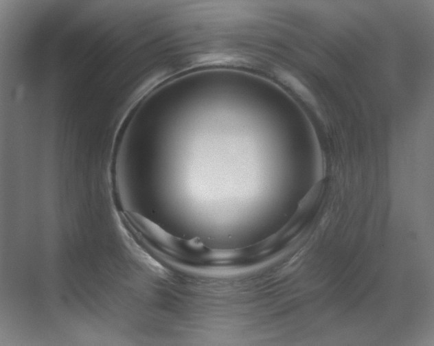 X0000070171330200605261146