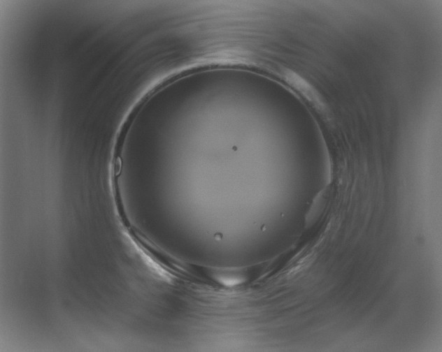 X0000070171334200605261146