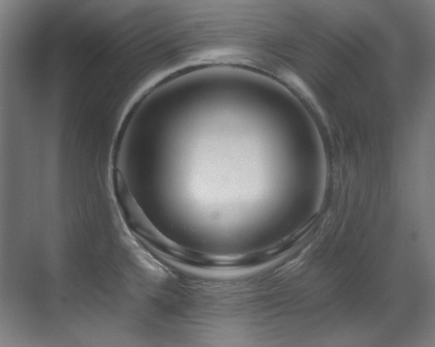 X0000070171336200605261146