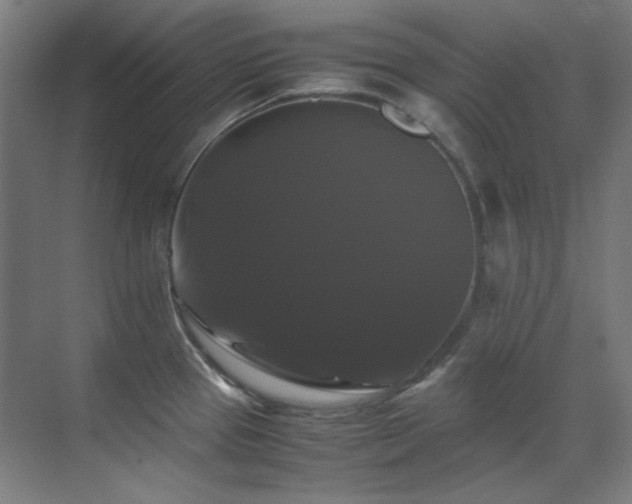 X0000070171337200605261146