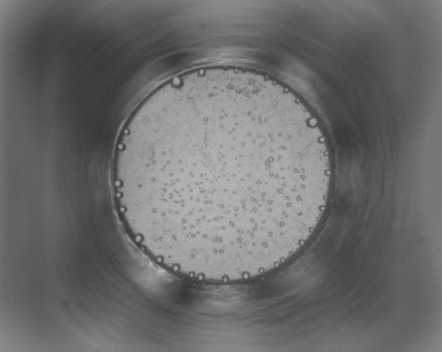 X0000070171338200605261146