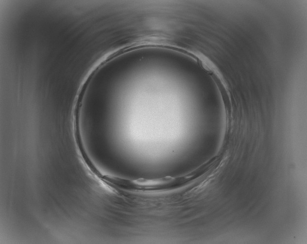 X0000070171341200605261146