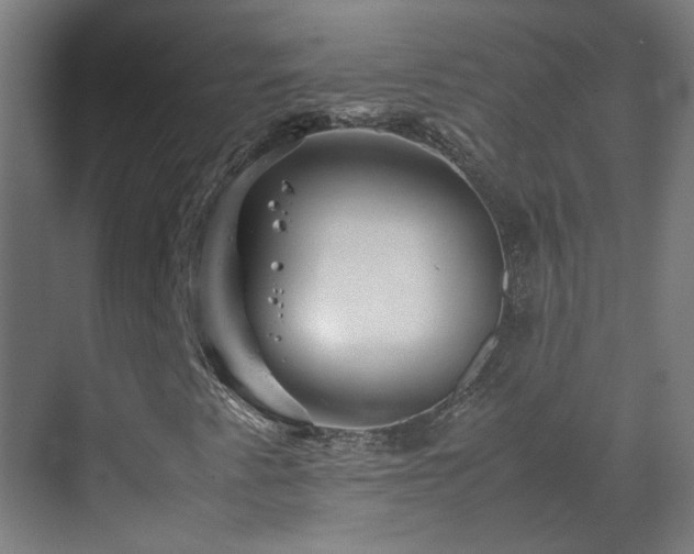 X0000070171345200605261145