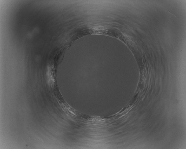 X0000070171346200605261145