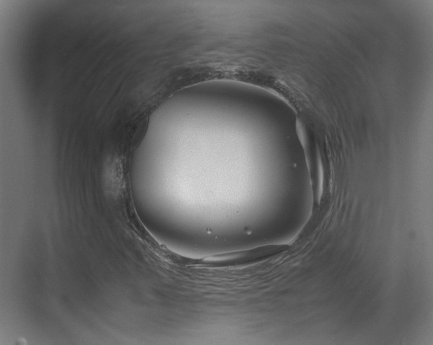 X0000070171347200605261145