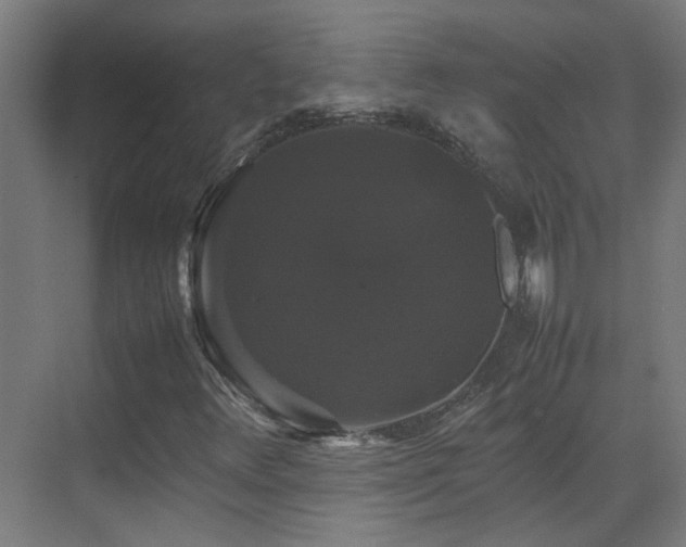 X0000070171348200605261145