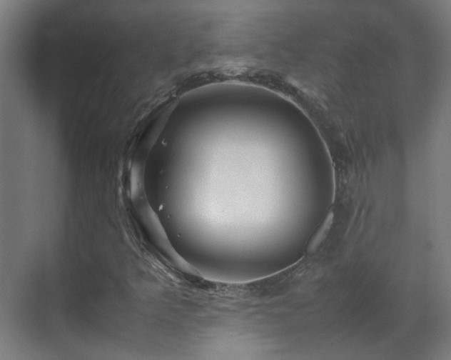 X0000070171349200605261145
