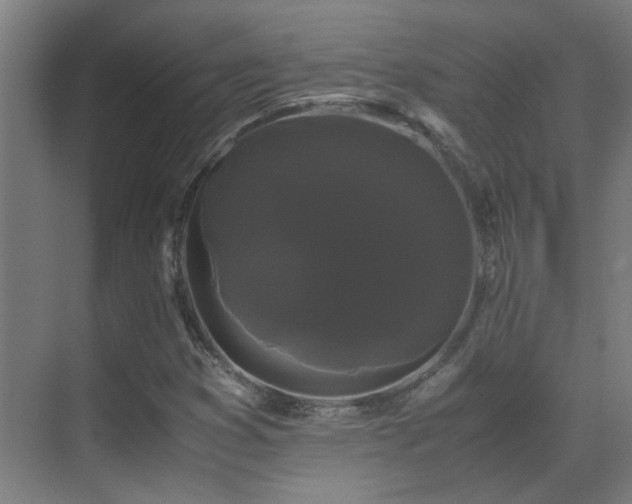 X0000070171353200605261145
